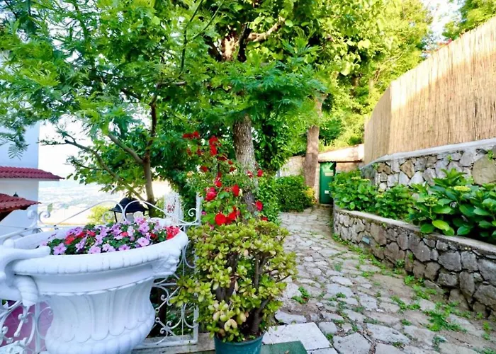 Bed & Breakfast Il Belvedere 3*