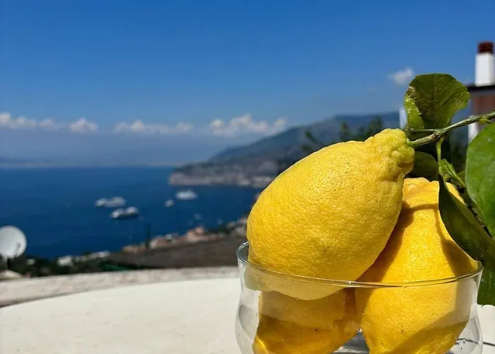 Bed & Breakfast Il Belvedere Sorrento